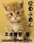 位面小商人TXT