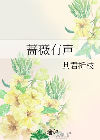 蔷薇有声txt
