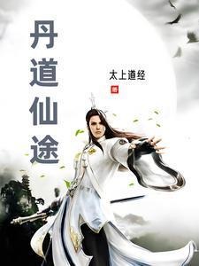 丹道仙途番茄