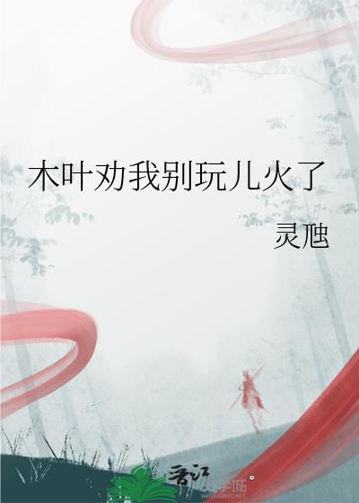 说木叶视频
