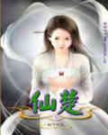 仙楚多少字