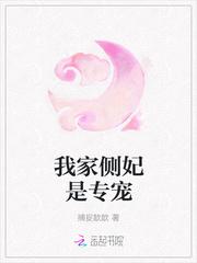 家有侧妃之王爷给我滚