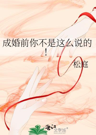 成婚前你不是这么说的松庭TXT