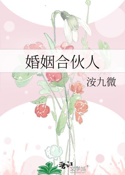 婚姻合伙人九微全文免费阅读