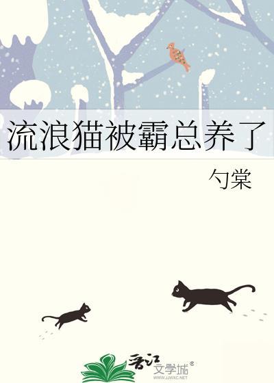流浪猫被霸总养了免费阅读