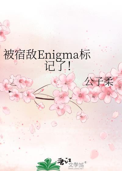 被宿敌Enigma标记了!阅读