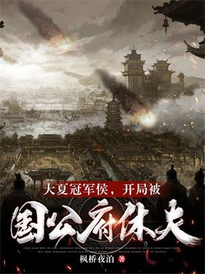 开局被国公府休夫 枫桥夜泊