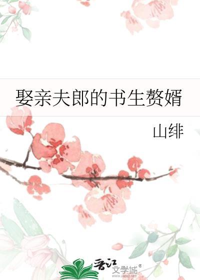 娶亲夫郎的书生赘婿by