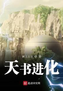 天书进化TXT