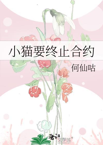 小猫要终止合约全本TXT