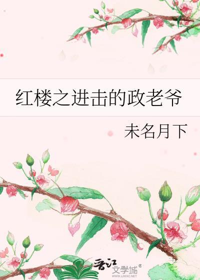 红楼之进击的政老爷百度