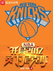 nba主角在尼克斯
