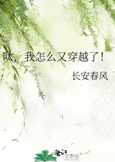 我又穿越了在线阅读