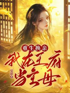重生换亲我在王府当主母讲的什么