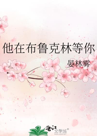 他在布鲁克林等你by