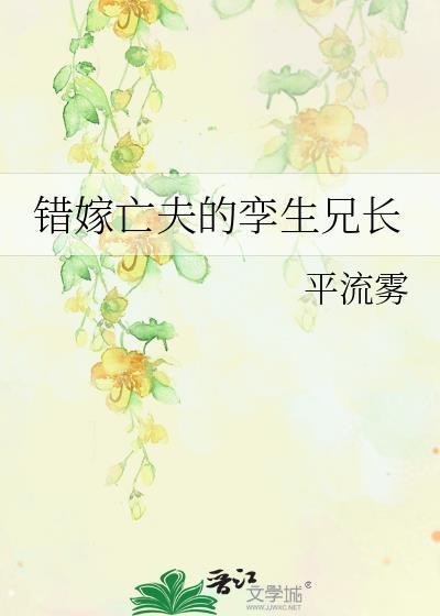 错嫁亡夫的孪生兄长晋江