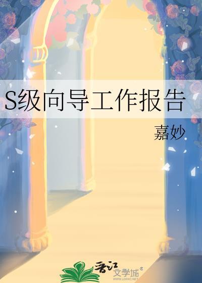 向导工作职责