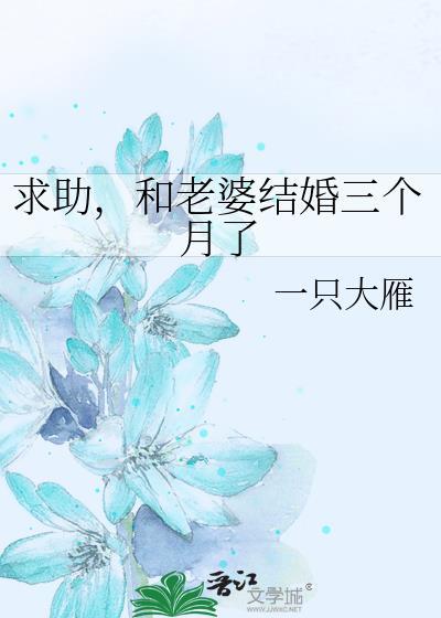 和老婆结婚三个月了免费阅读