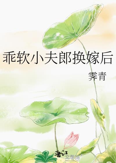 乖软小夫郎换嫁后 by