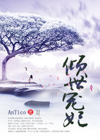 倾世宠妃是什么游戏