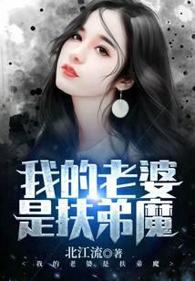 我的老婆是扶弟魔精校