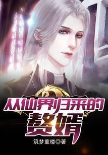 从仙界归来的赘婿叶麟免费阅读