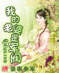我的老婆是军阀TXT