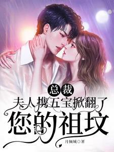 总裁夫人驾到夫人一胎九宝