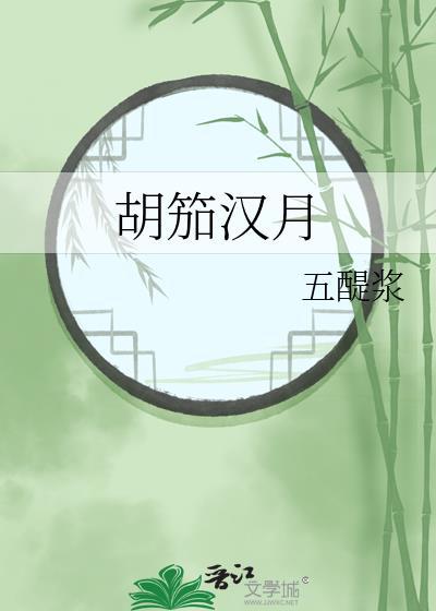 胡笳汉月电视连续剧在线观看