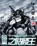 暗黑之骷髅王txt笔趣阁