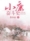 小康奋斗史全文免费阅读