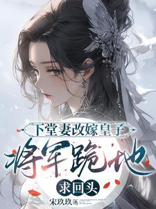 下堂王妃改嫁记