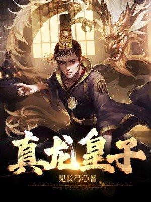 真龙皇子 第173章
