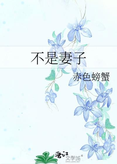 不是我的妻子