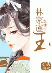 红楼之林家谨玉txt全文