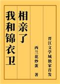 我和锦衣卫相亲了作者西兰花炒蛋