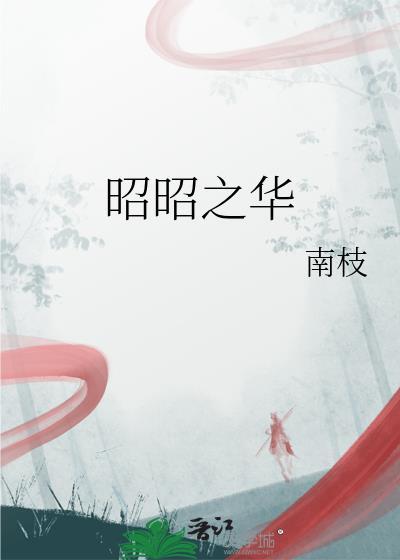 昭昭之华txt百度