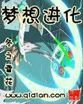 梦想进化txt