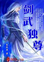 剑武独尊书旗