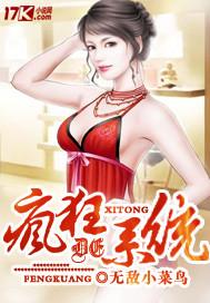 疯狂的系统免费阅读