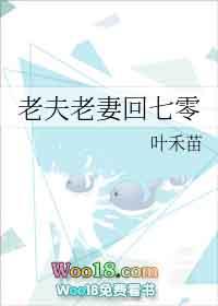 老夫老妻回七零作者叶禾苗