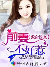 致命婚宠前妻离婚无效
