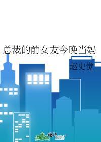 总裁的前女友今晚当妈了吗