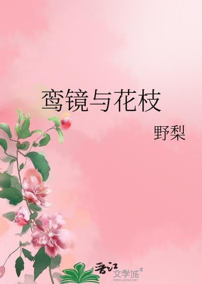 鸾镜与花枝野梨免费txt