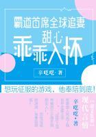 霸道总裁全球追妻甜心乖乖入怀