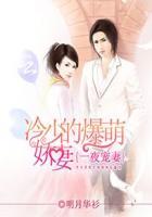 一夜宠妃