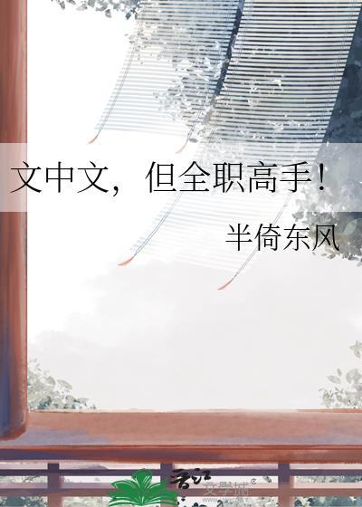 文中文但全职高手txt