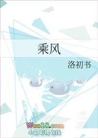乘风破浪会有时直挂云帆济沧海理解
