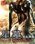 星墓简介
