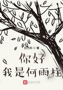 你好我是何雨柱免费阅读